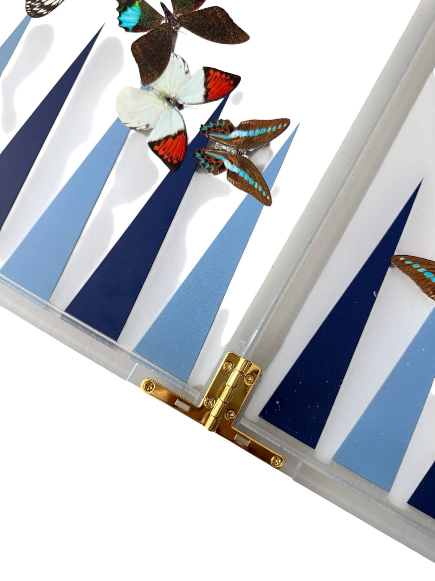 Backgammon Game- Butterfly