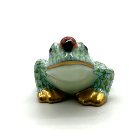 Frog w/ Ladybug lime