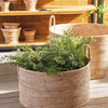 Maidenhair Fern Drop-In 23"
