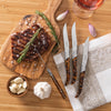 Tortoise Shell 4-Piece Laguiole Steak Knife Set