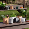 Scalloped Edge Garden Pot