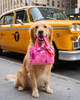 Barkin Bag -Pink w/ Scarf Dog Toy