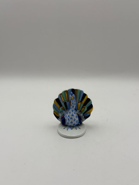 Blue Peacock