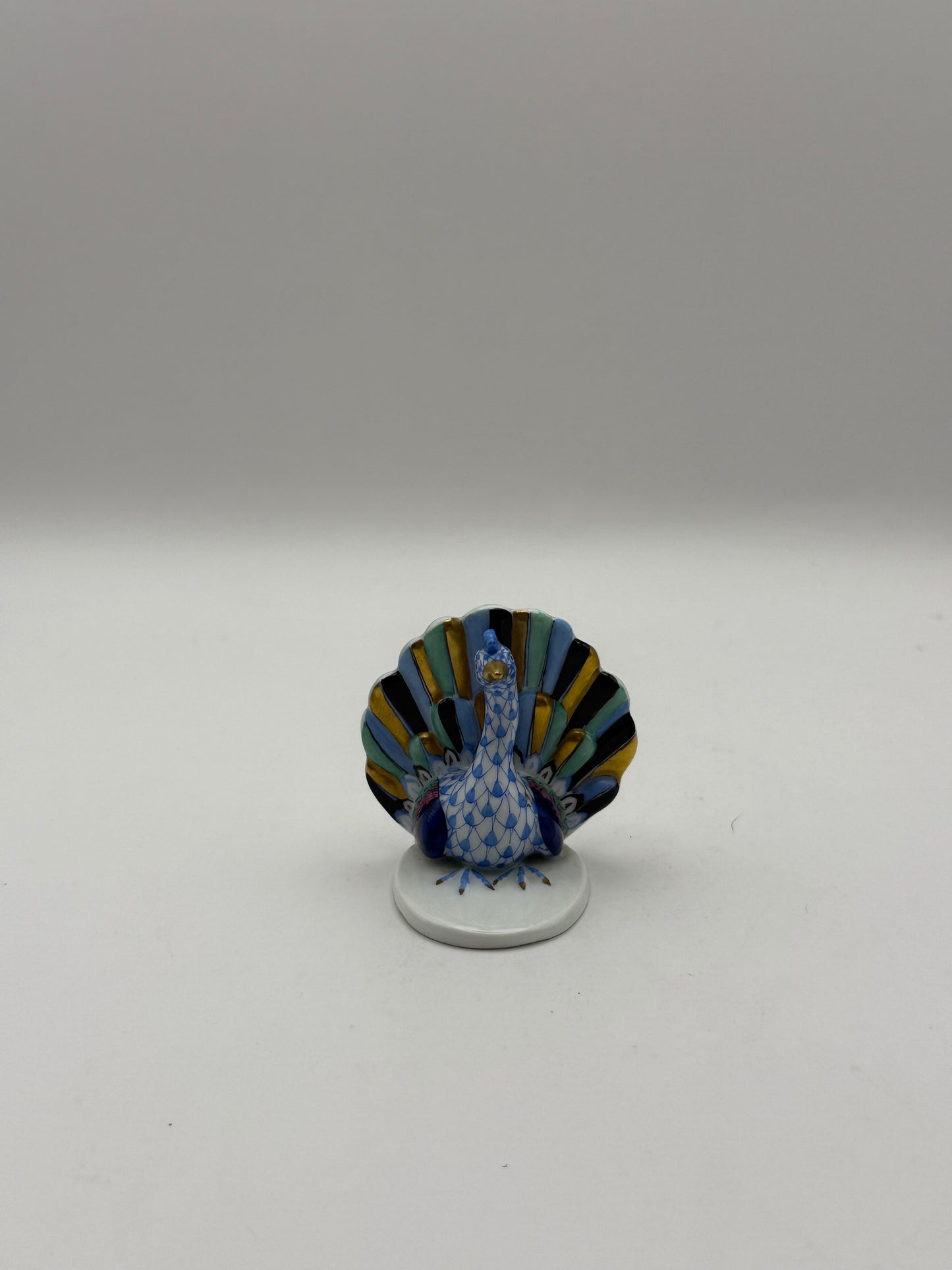 Blue Peacock