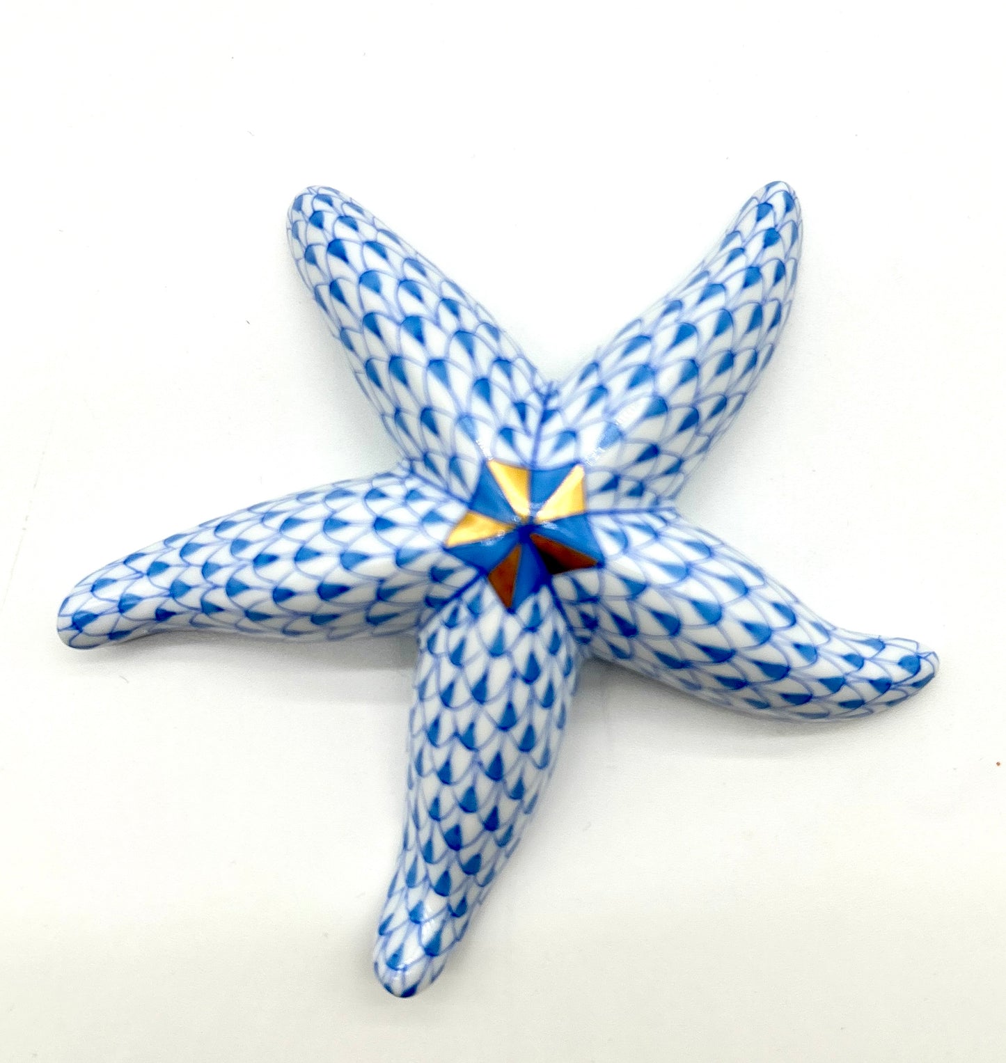 Starfish Blue