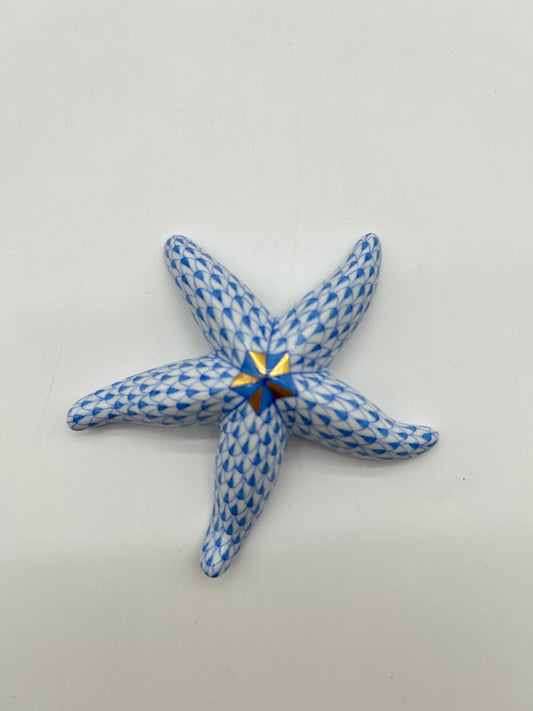 Starfish Blue