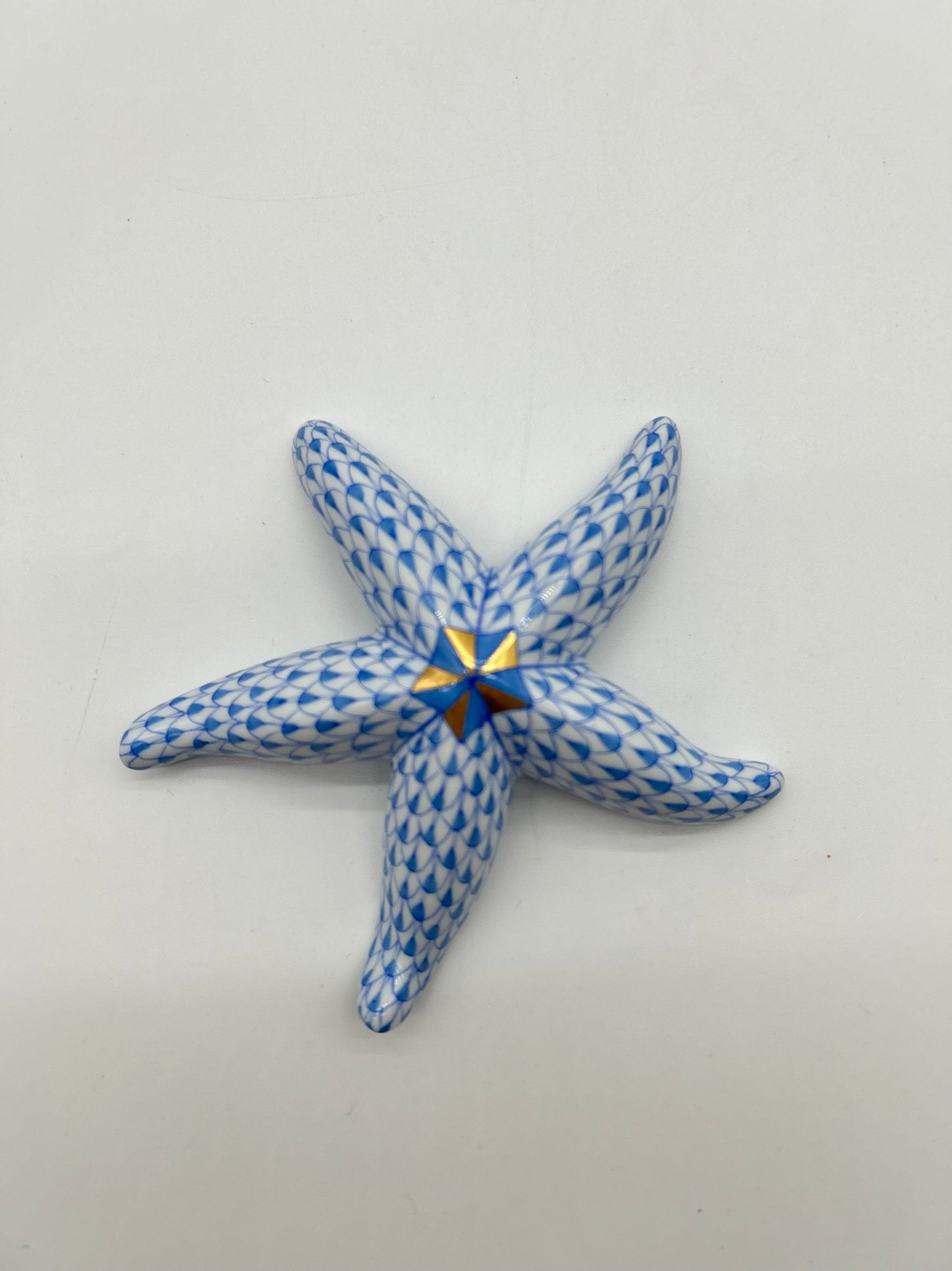 Starfish Blue