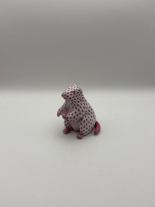 Groundhog Raspberry
