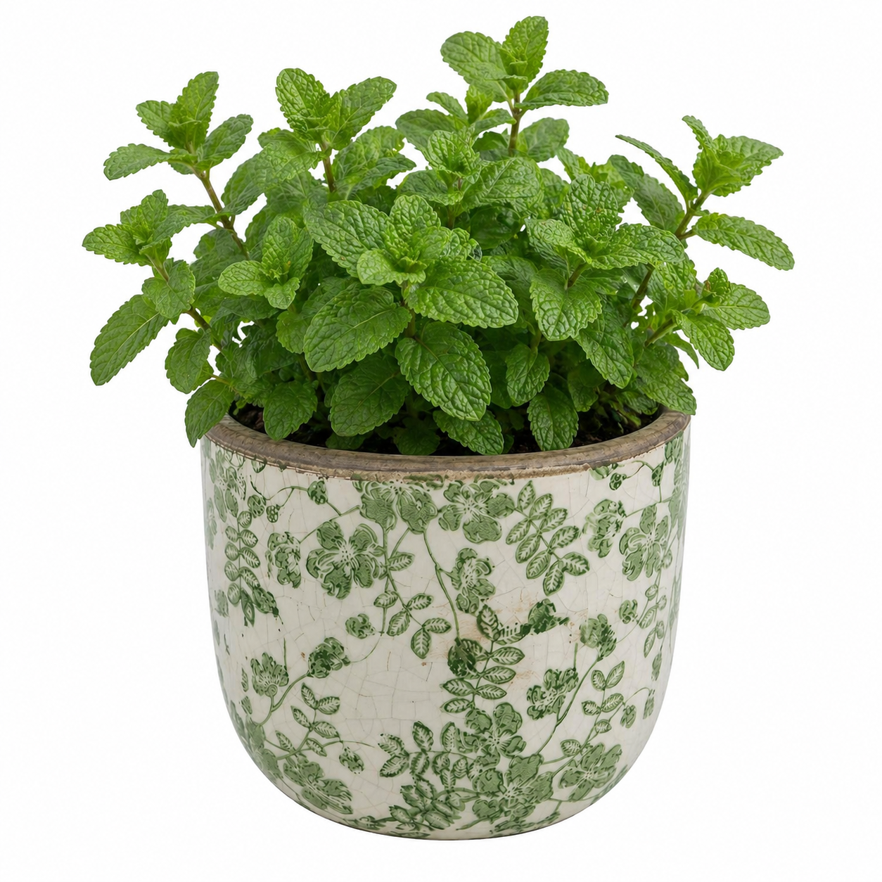 Round Ceramic Planter w/ Green Floral Motif