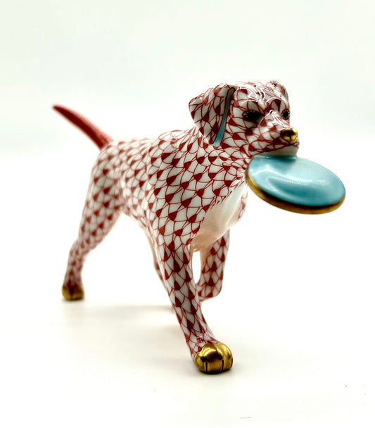 Frisbee Dog Rust