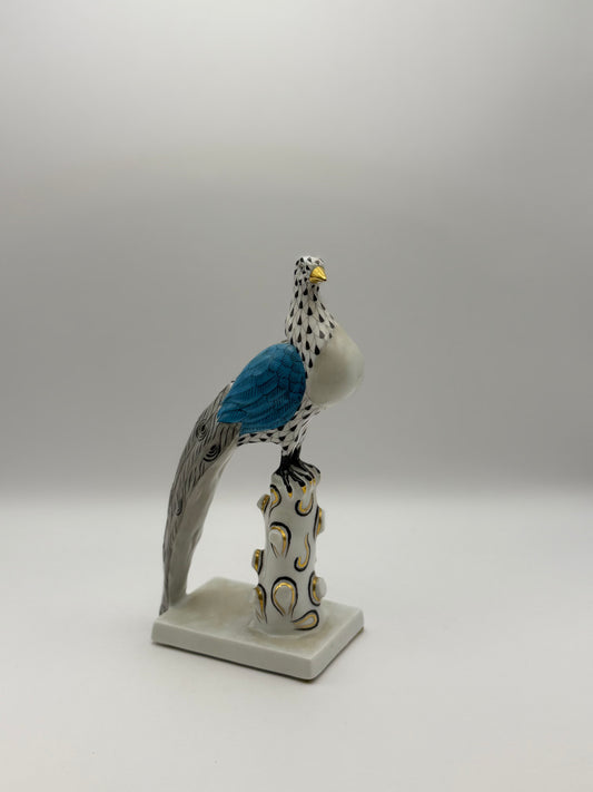 Black Peacock