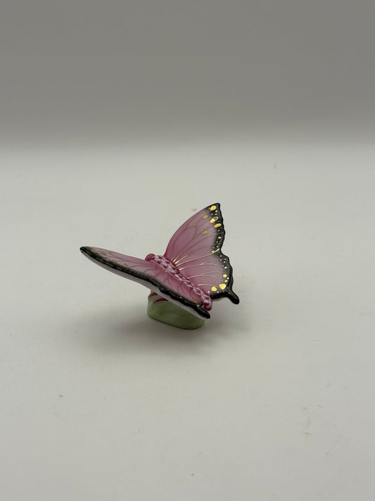 Butterfly Raspberry