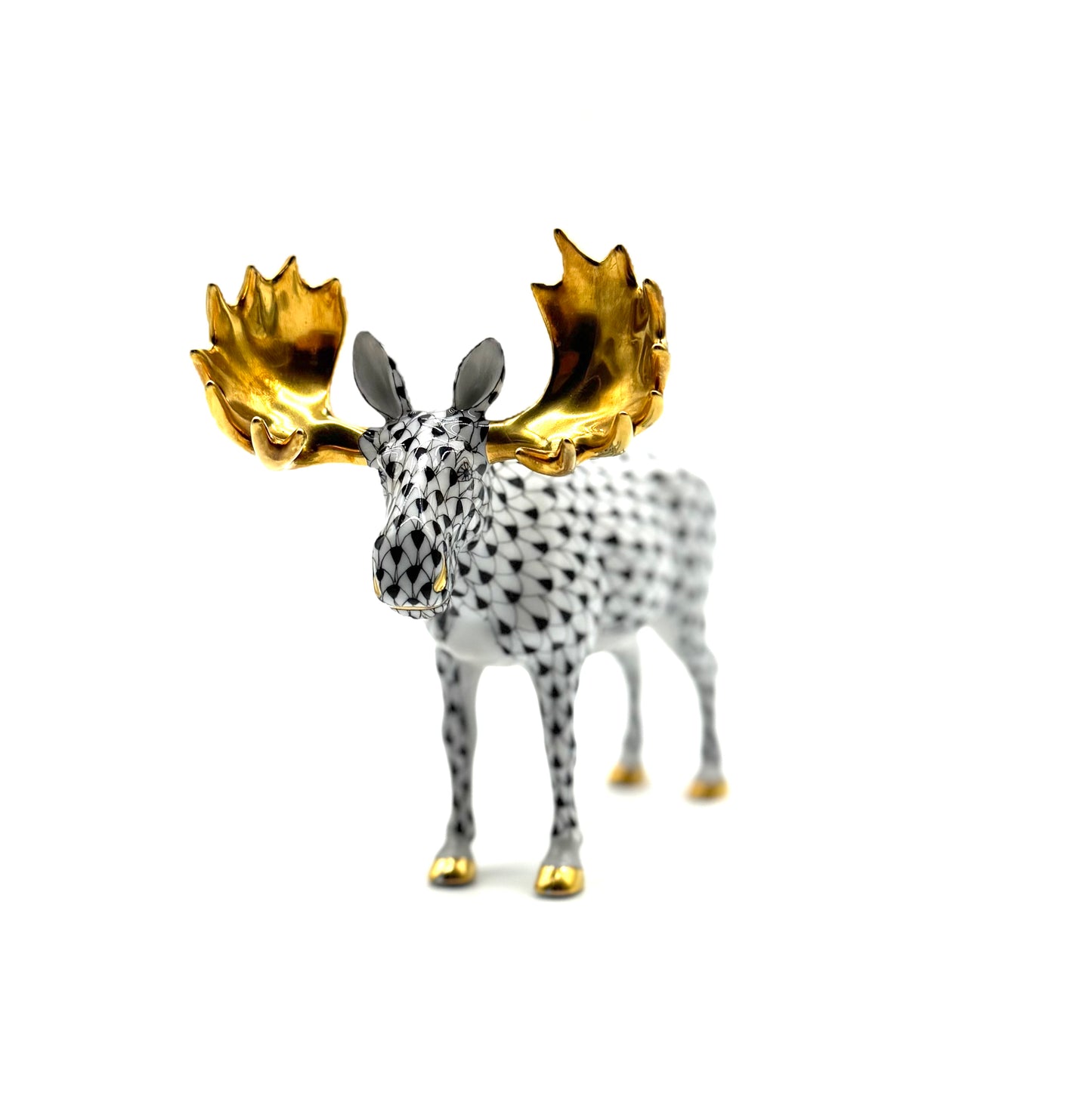 Moose Black