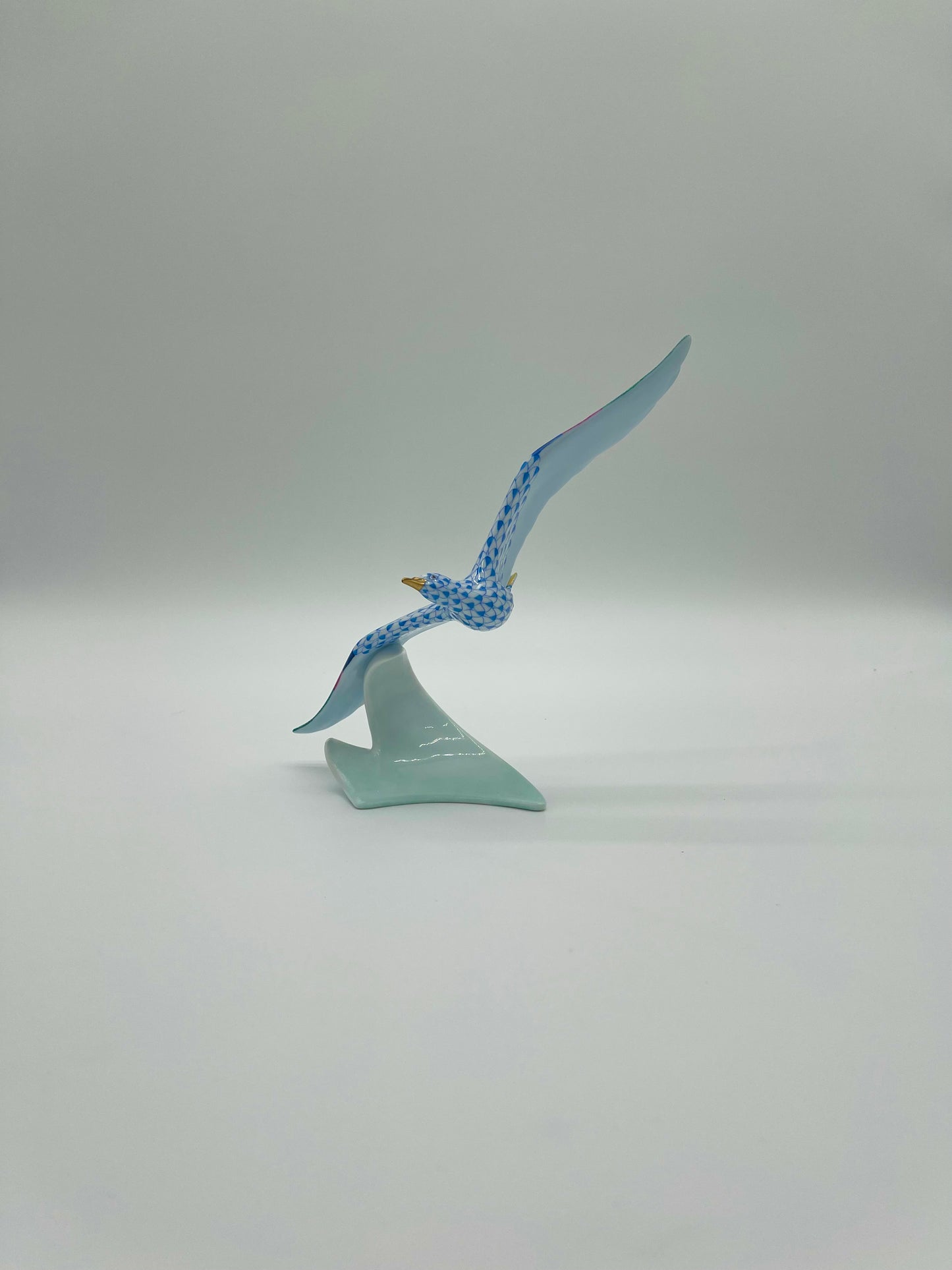 Seagull Blue