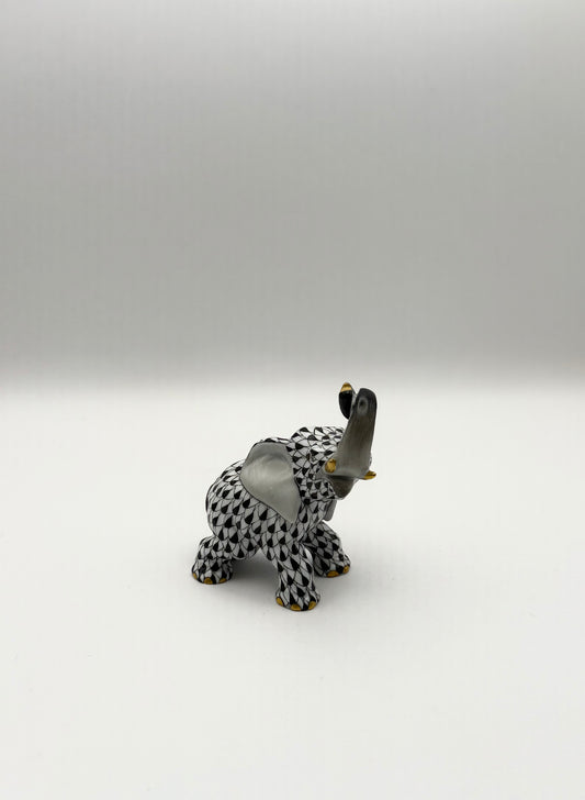 Black Elephant Trunk Up