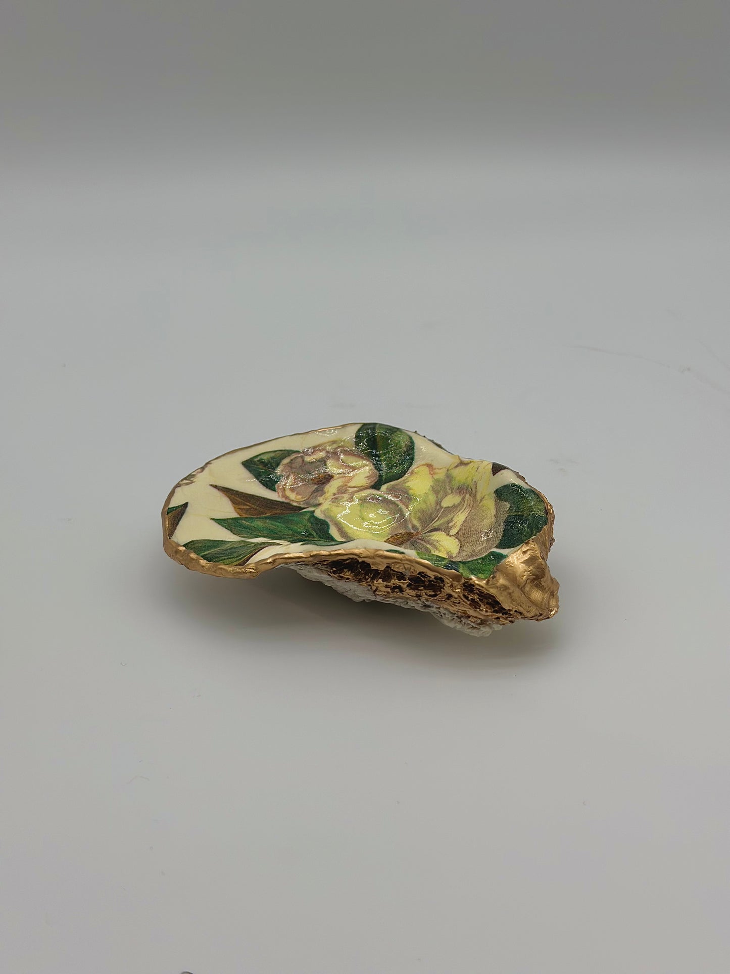 Magnolia Oyster Shell