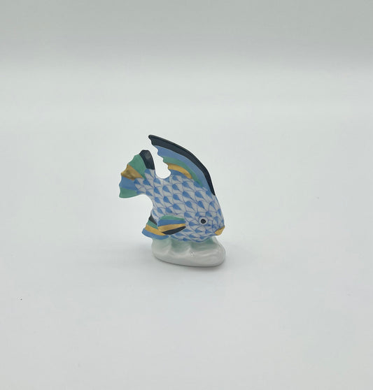 Angel Fish Blue