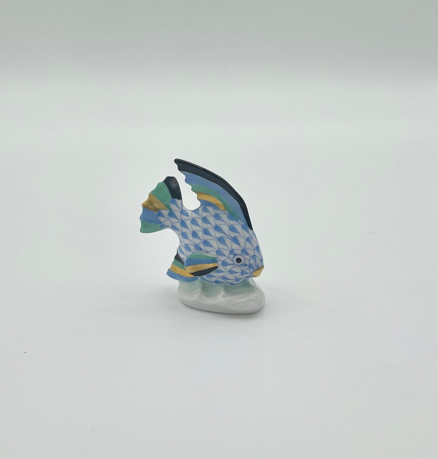 Angel Fish Blue