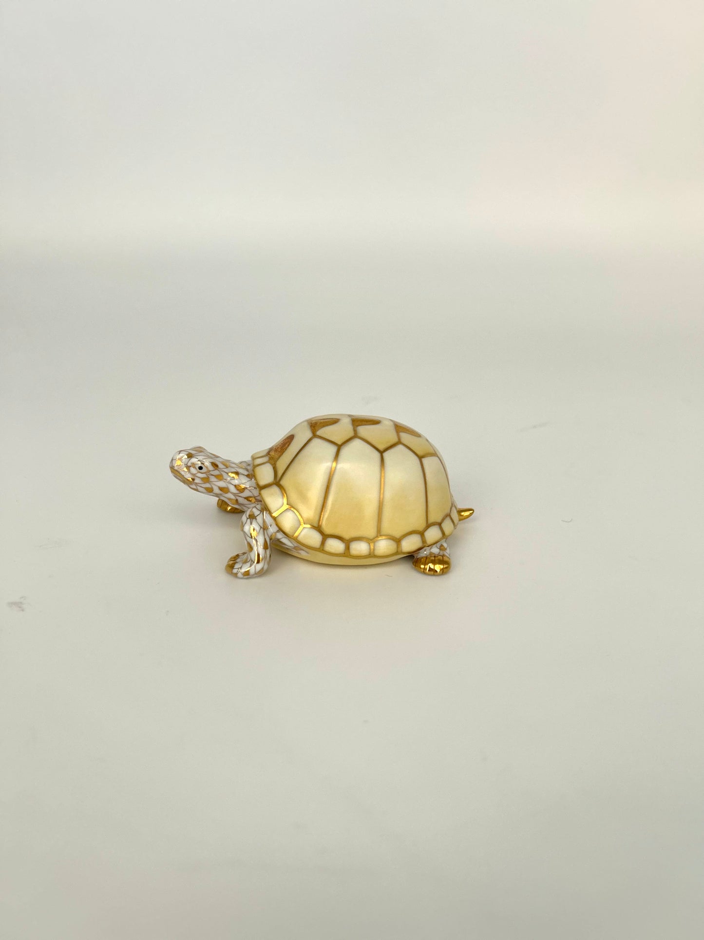 Box Turtle Gold