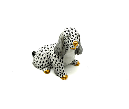 Black Spaniel