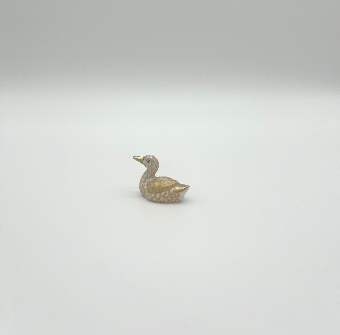 Miniature Duck Butterscotch