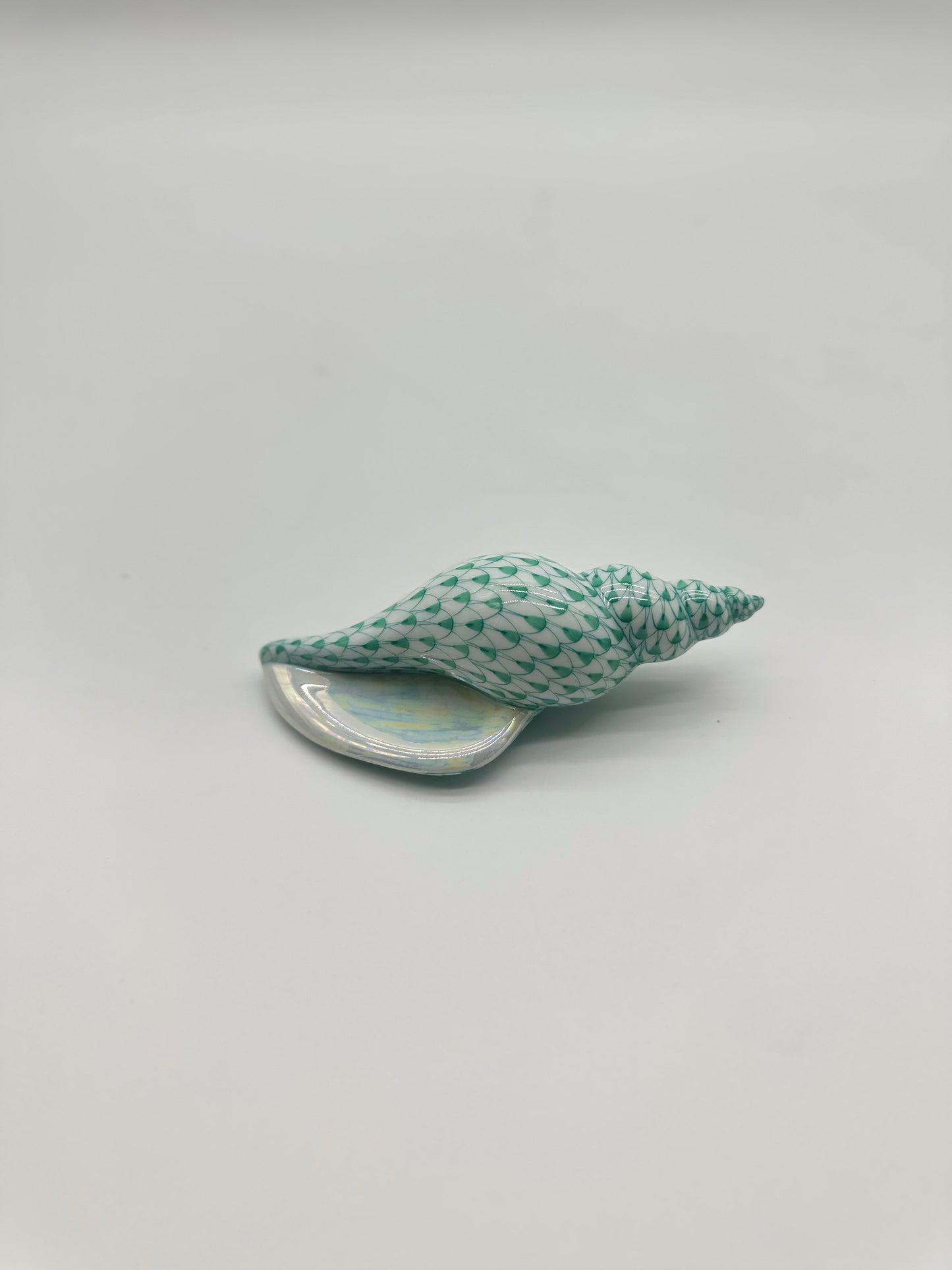 Green Seashell