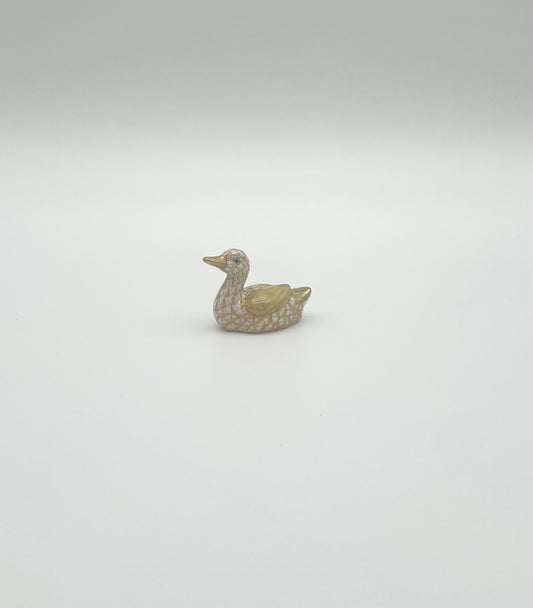 Miniature Duck Butterscotch