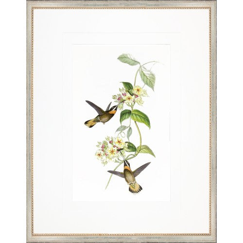 Hummingbirds in Gold Frame