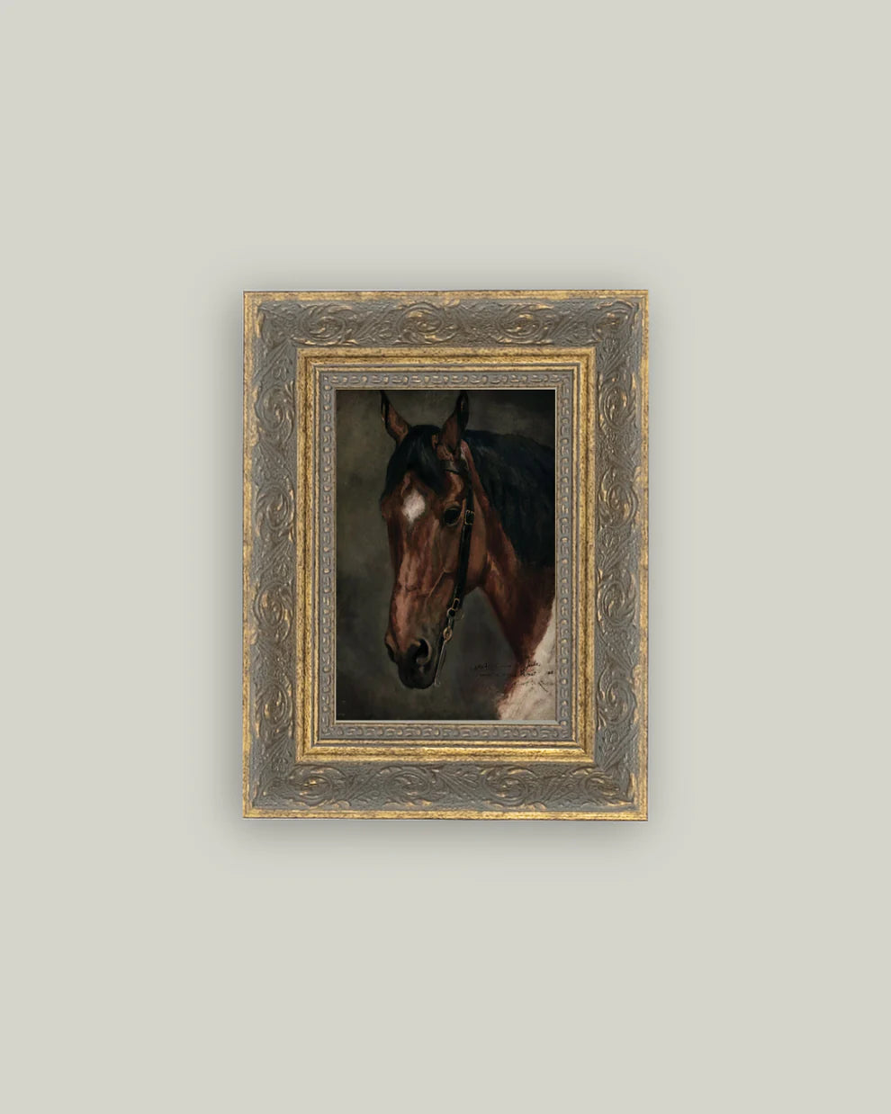 Horse Portrait