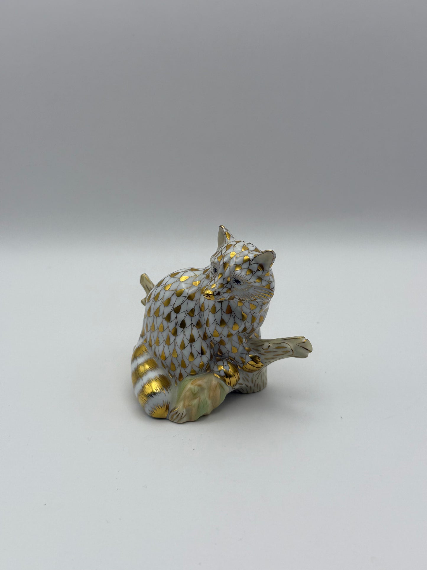 Gold Raccoon