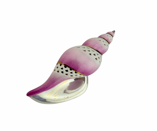 Pink Tulip Shell