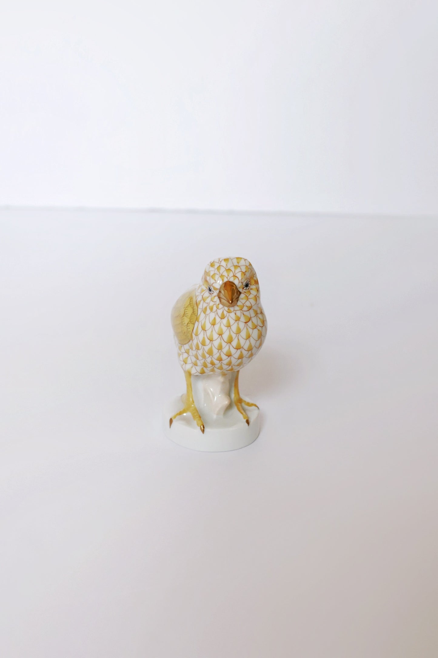 Chick Butterscotch 2