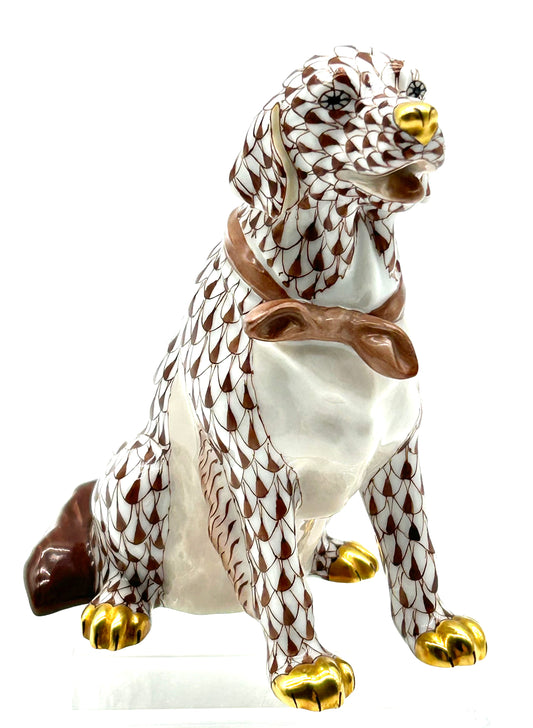 Chocolate Dog w/ Bandana