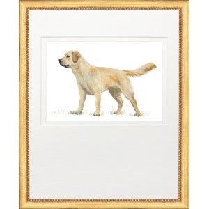 Hunting Dog Yellow Lab
