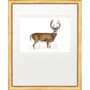 Deer I