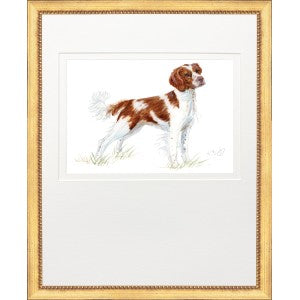Hunting Dog 1 - Brittany Spaniel - Framed Print