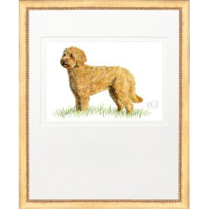 Hunting Dog 15 - Golden Doodle - Framed Print