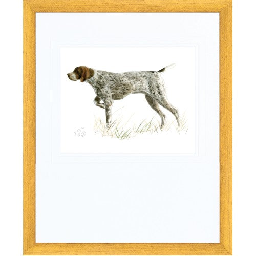 Hunting Dog German Short Hair Pointing