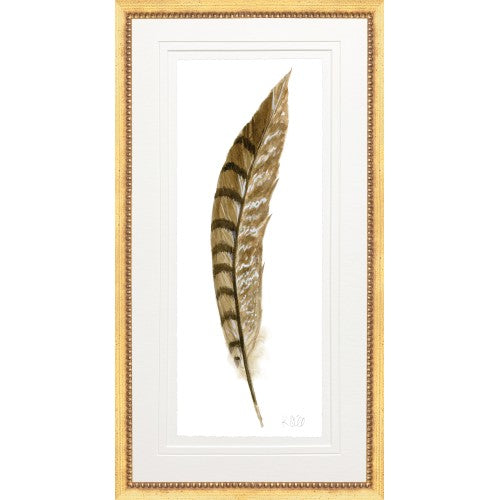 Pheasant Feather 5