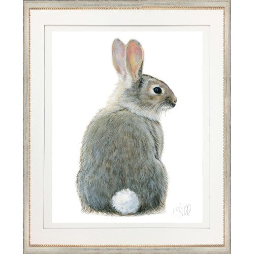 Rabbit 1 - Framed Print By Kate Sherrill