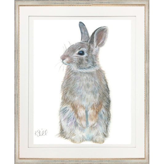 Rabbit 2 - Framed Print By Kate Sherrill