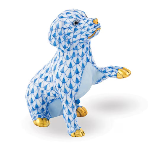 Blue Dog Shaking Paw