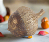 Gold Gilded Resin Acorn - 2 Sizes