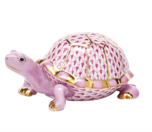 Box Turtle Raspberry