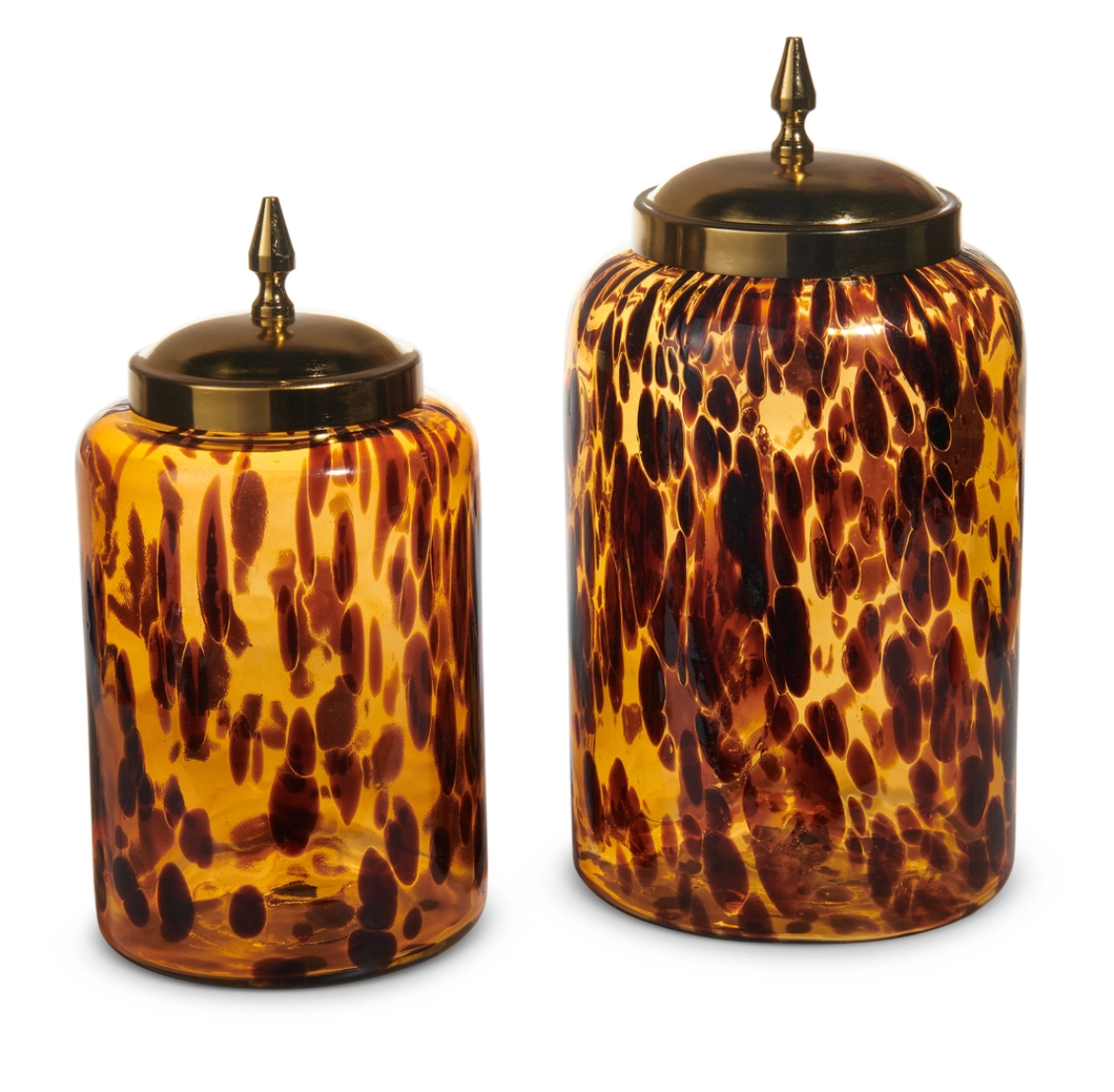 Amber Tortoise Container w/ Lid