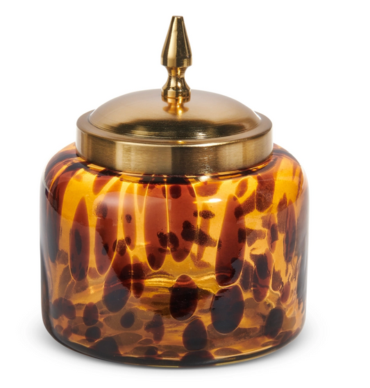 Amber Tortoise Container w/ Lid