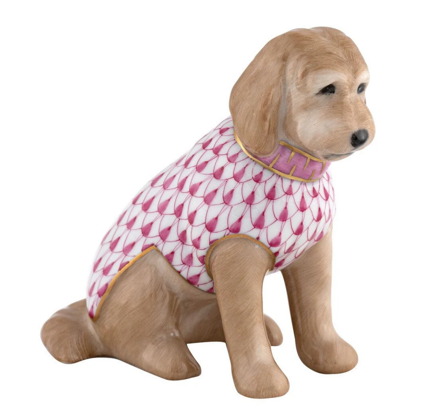 Goldendoodle Raspberry