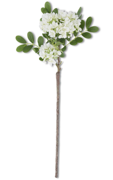 White Mountain Laurel Stem - 23"