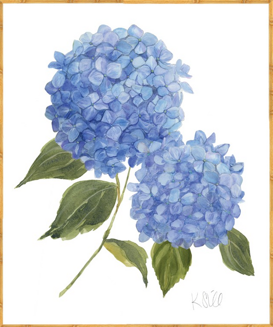 Blue Hydrangea Blooms #2 - Gold Framed Print