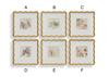 Garden Mist Framed Canvas